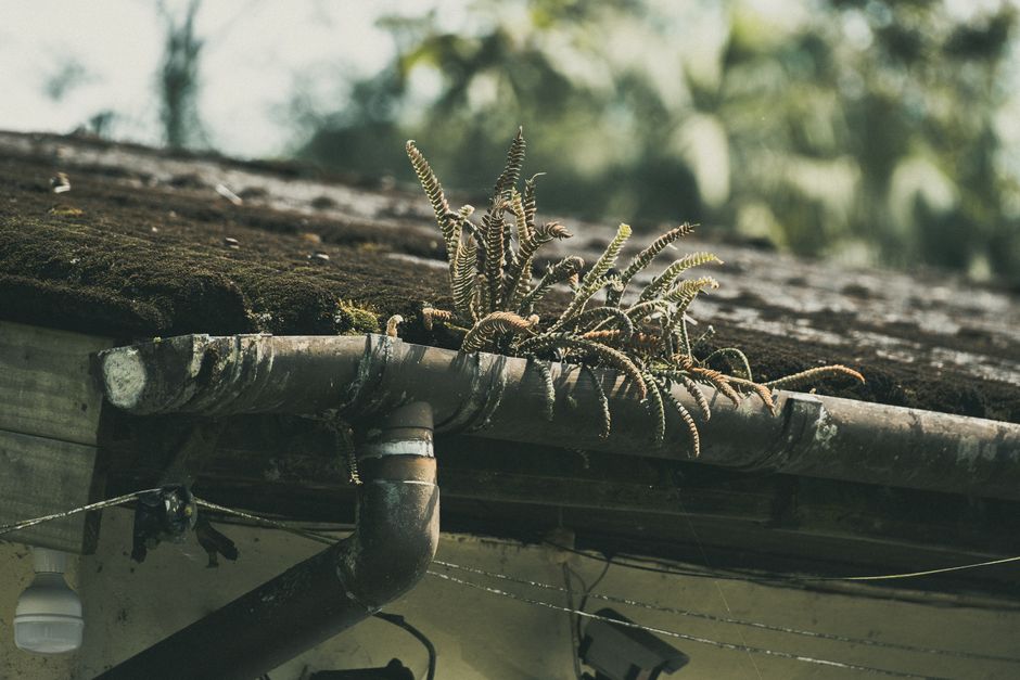 Common Myths About Rainwater Catchment & Cisterns I Stopped Believing