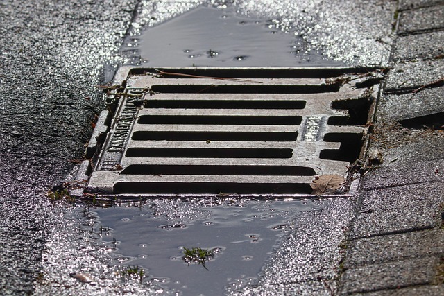 My Field Guide to Rainwater Catchment & Cisterns : What Actually Works