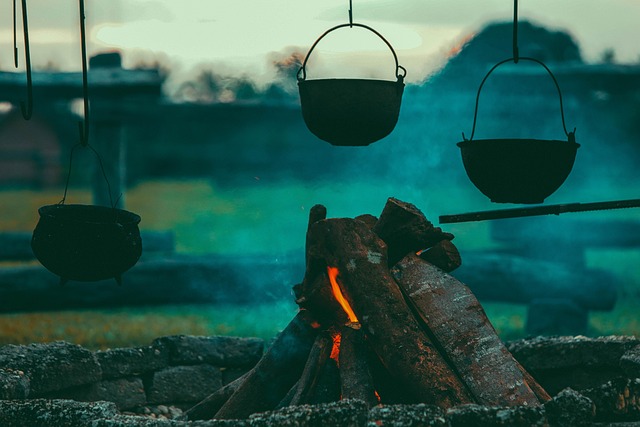 My Field Guide to Wood Stoves & Chimney Setup : What Actually Works