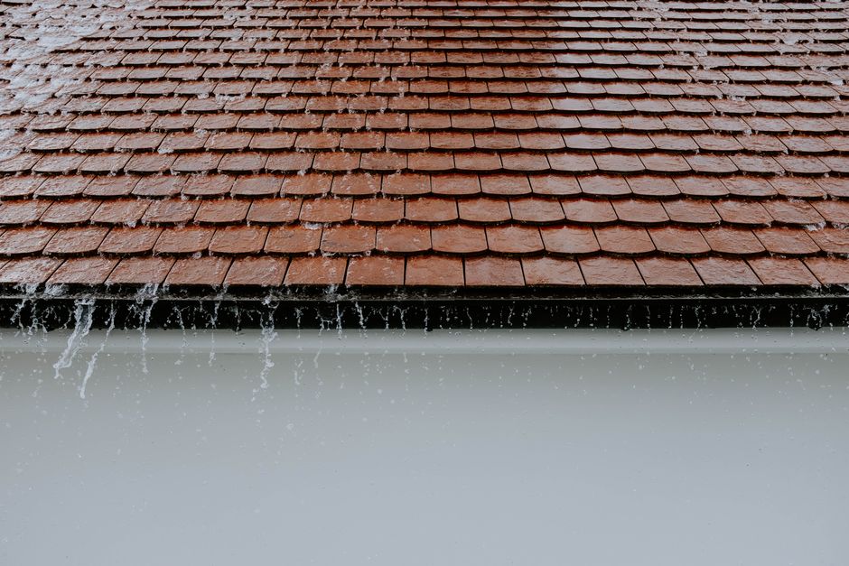 My Golden Rules for Rainwater Catchment & Cisterns That Never Let Me Down