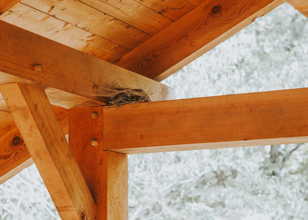 My Step-by-Step Blueprint for Cabin Framing & Foundation DIY