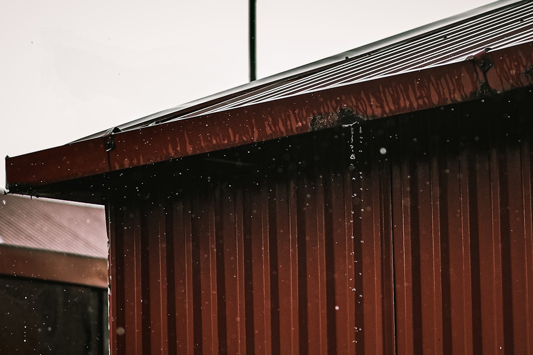 My Step-by-Step Blueprint for Rainwater Catchment & Cisterns