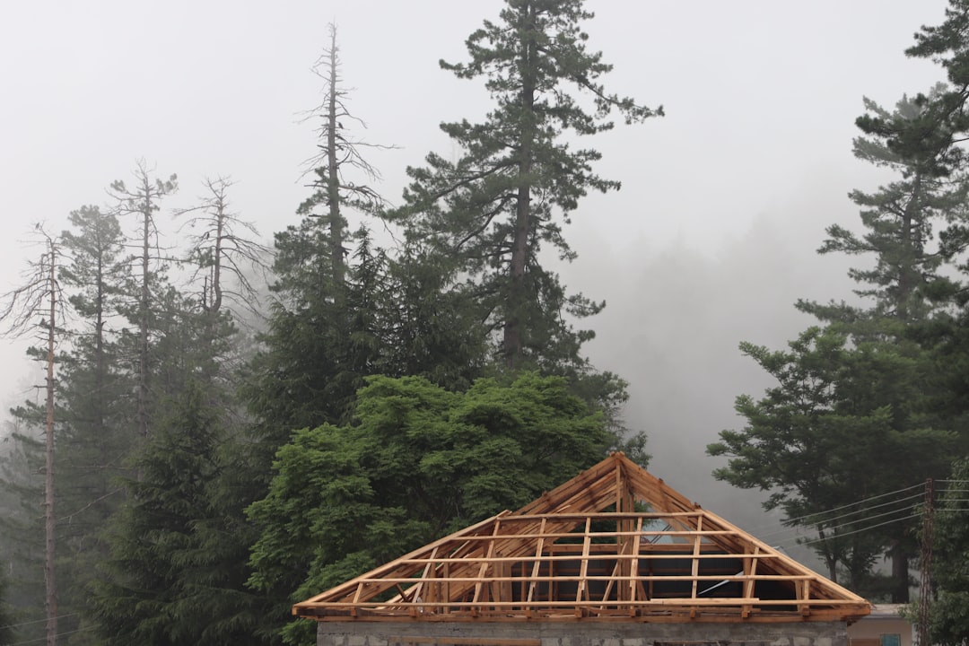 The Best Tools & Supplies I Actually Use for Cabin Framing & Foundation DIY