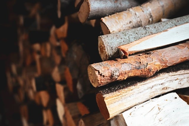 Troubleshooting Cabin Framing & Foundation DIY : Diagnosing and Fixing Problems
