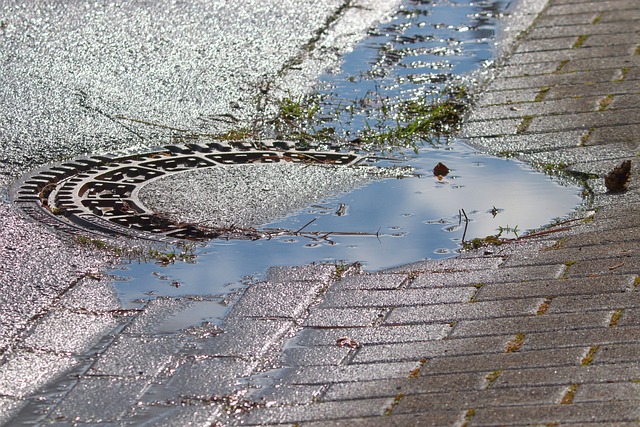 Troubleshooting Rainwater Catchment & Cisterns : Diagnosing and Fixing Problems